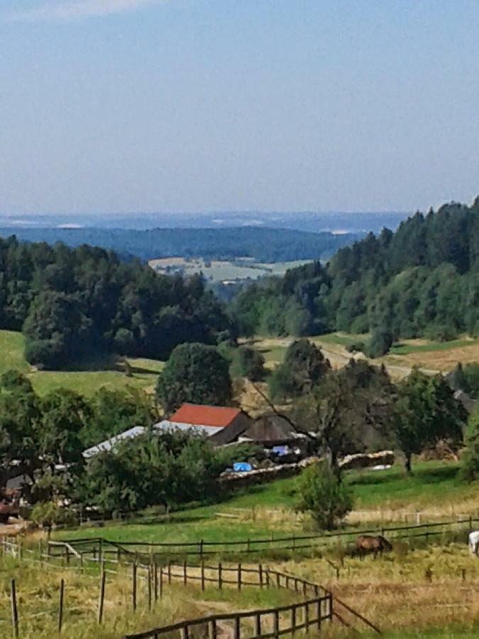 Fewo Am Neckarsteig ネッカーシュタイナハ エクステリア 写真