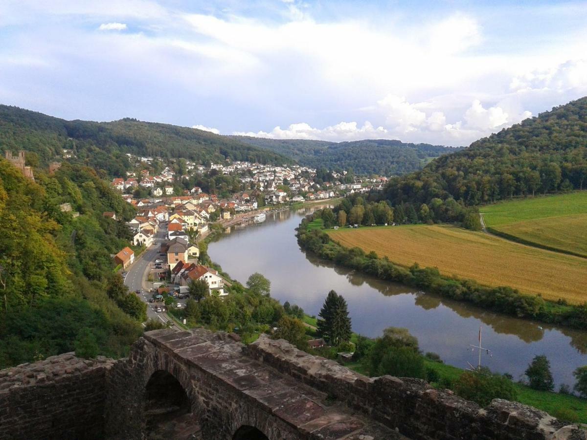 Fewo Am Neckarsteig ネッカーシュタイナハ エクステリア 写真
