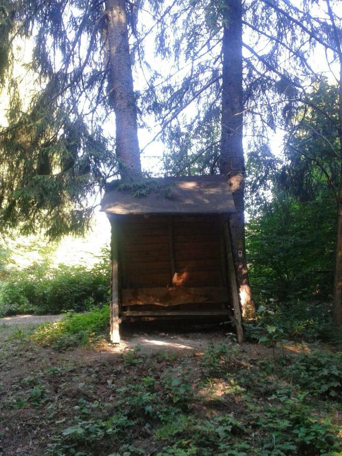 Fewo Am Neckarsteig ネッカーシュタイナハ エクステリア 写真