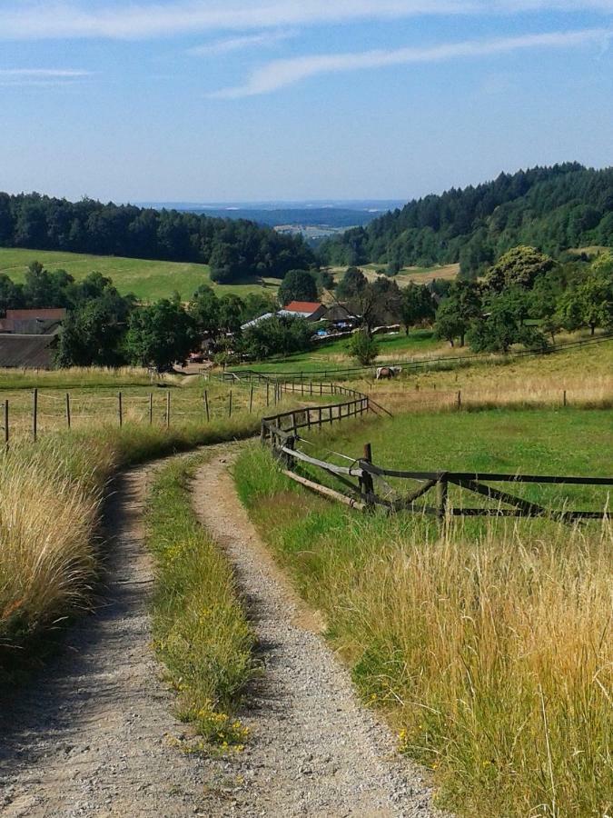 Fewo Am Neckarsteig ネッカーシュタイナハ エクステリア 写真