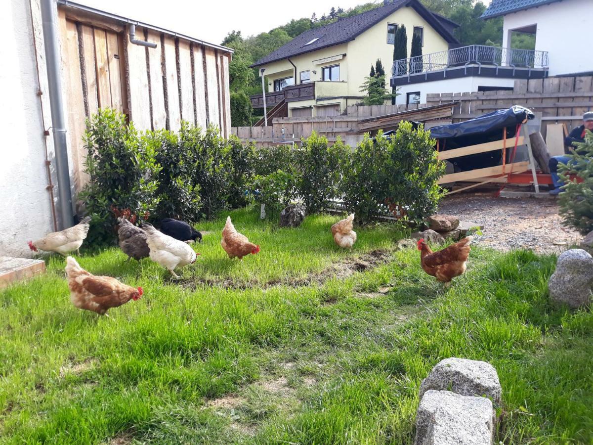 Fewo Am Neckarsteig ネッカーシュタイナハ エクステリア 写真