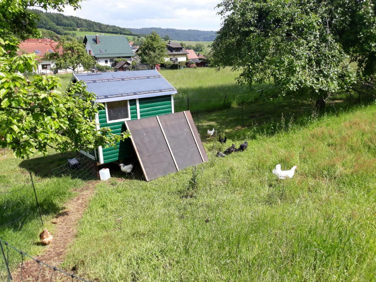 Fewo Am Neckarsteig ネッカーシュタイナハ エクステリア 写真